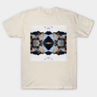 Rorscach aesthetic T-Shirt